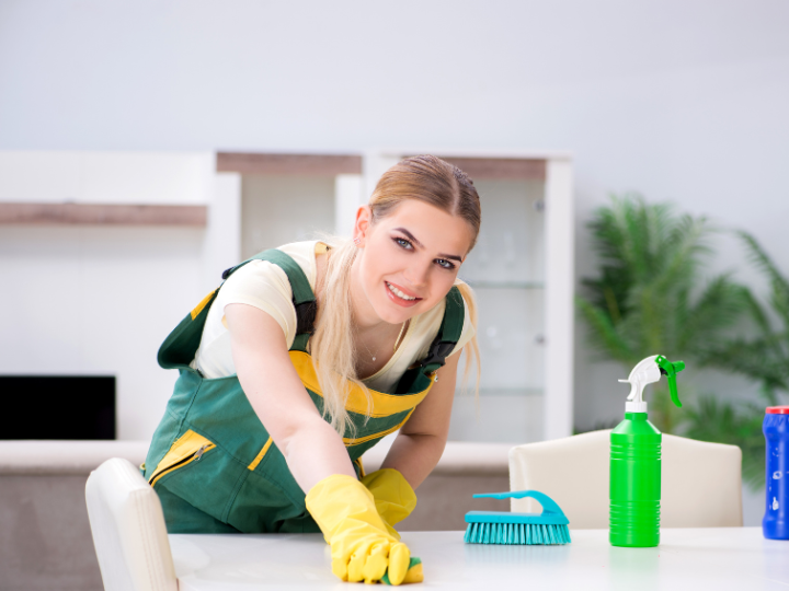 deep cleaning winnipeg (3)